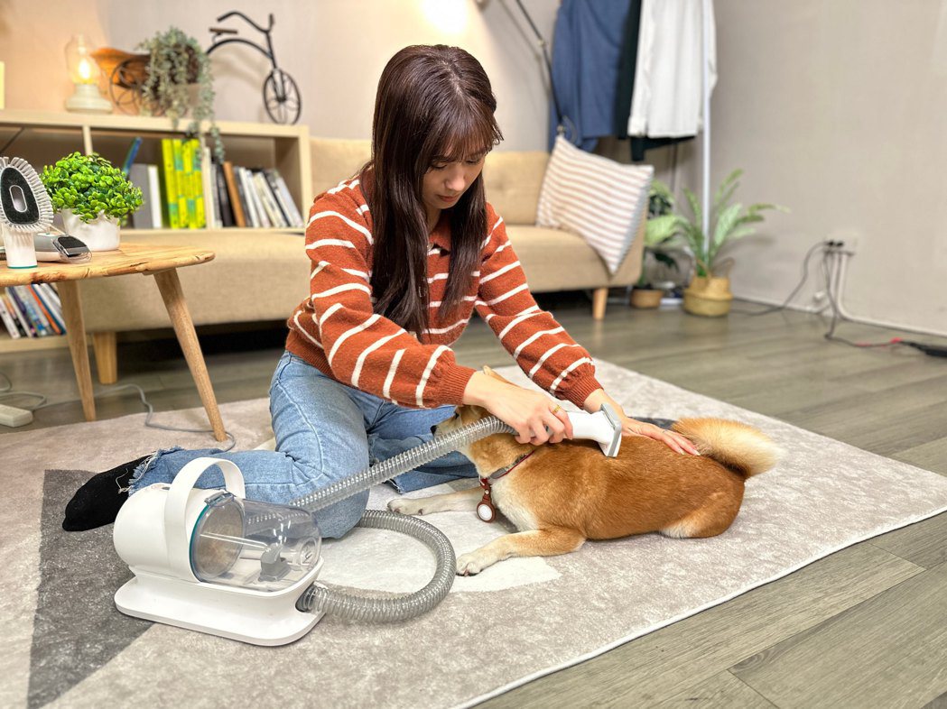 neabot多功能寵物理毛美容器，在家就能打造愛寵精緻LOOK。486團購提供