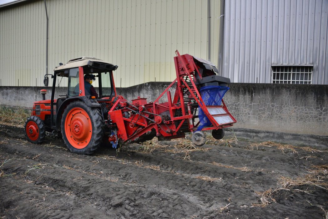 一貫型挖掘式大蒜收穫機，人機比可達4倍。 台南農改場/提供。