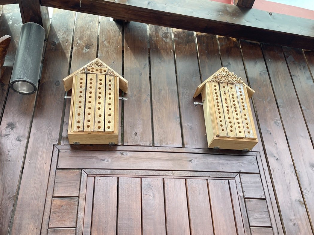 太魯閣國家公園管理處在布洛灣台地伊達斯廳外牆打造多個獨居蜂旅館，吸引蜂媽媽產卵。...