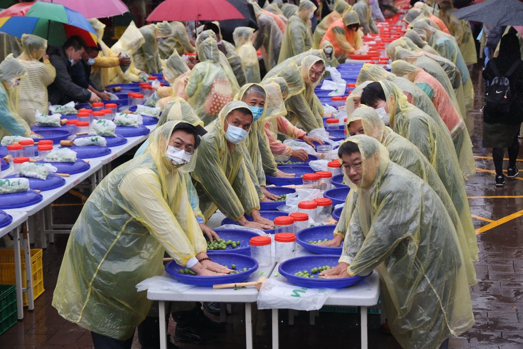 南投梅子節今天在信義鄉梅子夢工廠登場，500多名親子穿上雨衣，體驗雨中手作脆梅，...