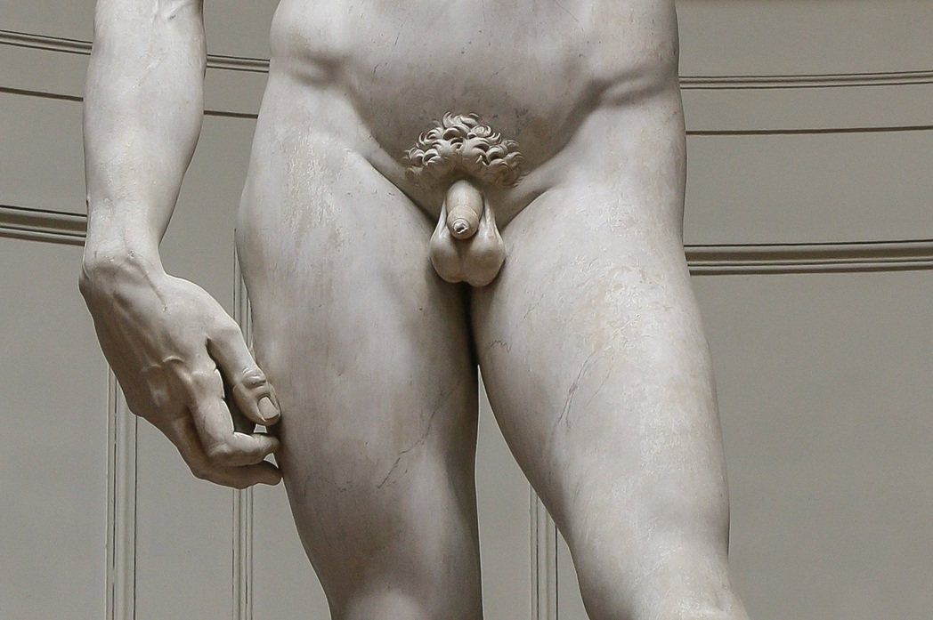 小陰莖的設計可能是延續古典時代雕像的傳統。事實上，古典時代並不認為大而挺直的陰莖...