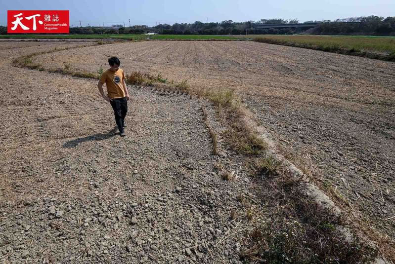 南部地區水情告急，嘉南灌區的農地因旱災休耕。 （謝佩穎攝）
