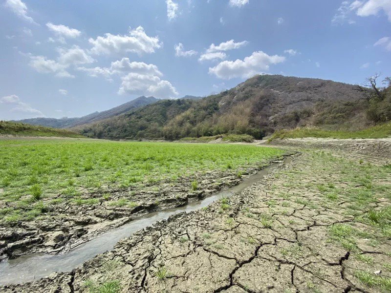 台南南化水庫上游後崛溪河谷因為乾旱而成為灰色龜裂的大地，很難想像是水庫的一部分。...