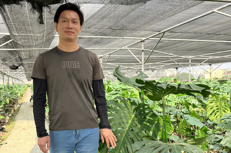 屏東縣萬丹鄉青農饒紘任曾是藥廠業務，於2015年離職回到屏東老家務農，投入種植龜背芋。記者張已亷／攝影