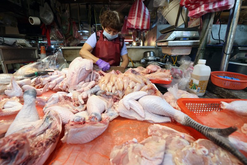 近期國內畜禽產品缺乏、價格高漲，不論是雞蛋、香雞排用的白肉雞，還是價格直追牛肉的毛豬，都供需失衡。記者胡經周／攝影