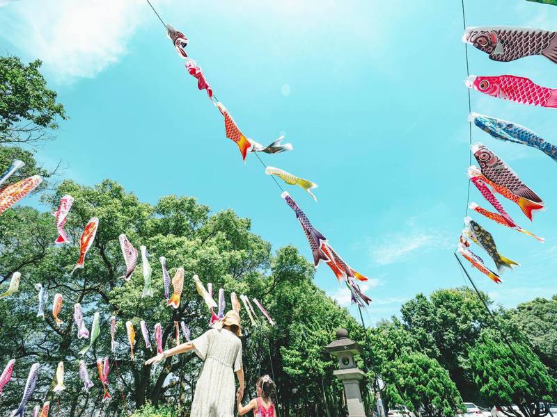 桃園神社文化園區「鯉魚流光祭り」於4月18日至7月9日登場。 圖／桃園神社文化園區提供