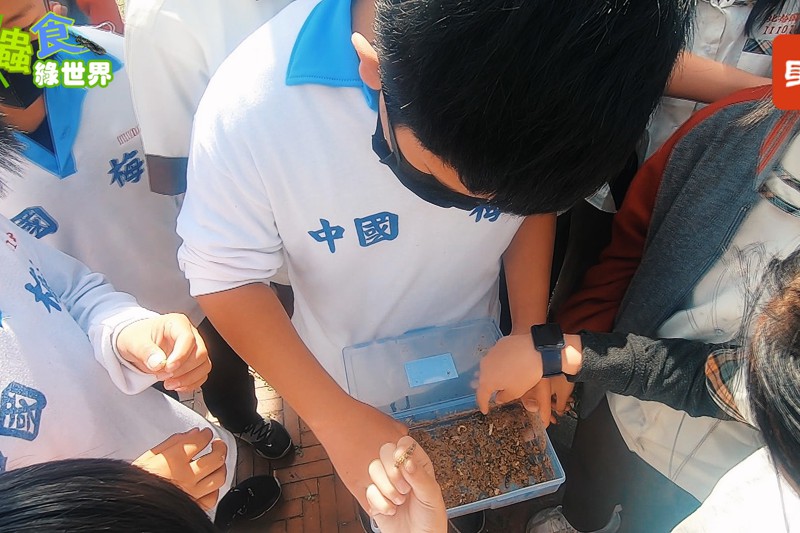 南投的北梅國中的學生看著南投青農老師羅帥龍手上的塑膠盒，裏頭是一隻隻正在蠕動的幼蟲，或黑或白，牠們便是去化有機廢棄物的天然幫手。記者李文顥／攝影
