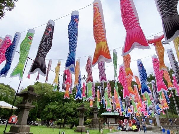 桃園神社文化園區舉辦「鯉魚流光祭」，活動起跑一周已創下1萬2000人次入園到訪。圖／桃園市民政局提供