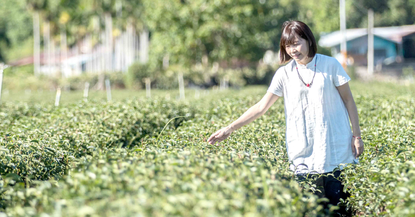 鹿野博雅齋女主人吳秋伶將紅烏龍帶上國際，成為新一代的台灣茶代表。 圖／博雅齋提供