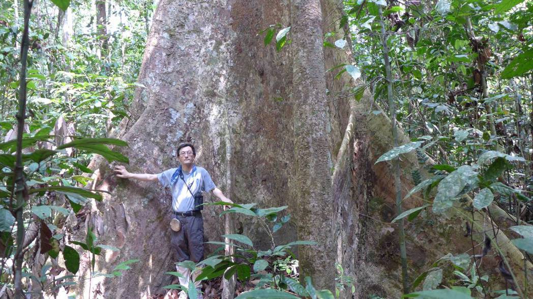 孫義方在墾丁國家公園的南仁山建立台灣第一個森林動態樣區，之後在林業試驗所與林務局...