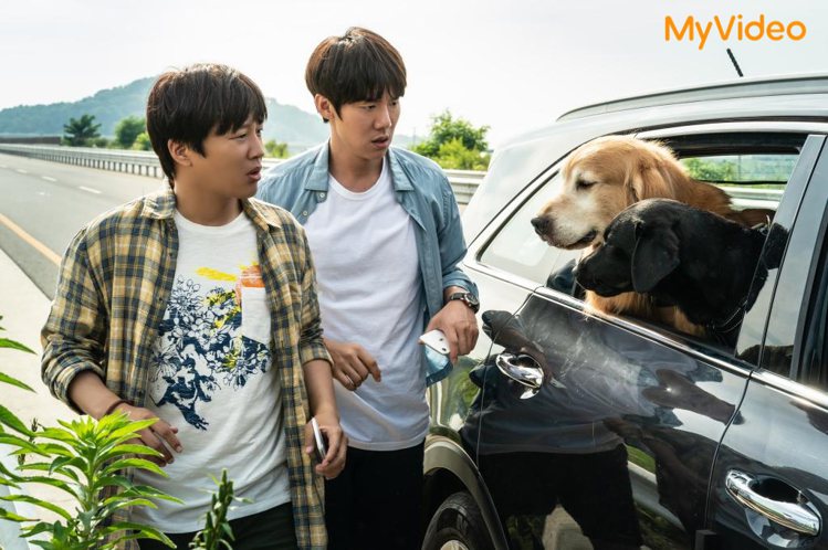 MyVideo將於5月12日獨家首播由車太鉉、柳演錫主演的韓國溫馨寵物電影《超完美狗保姆》。圖／台灣大哥大提供