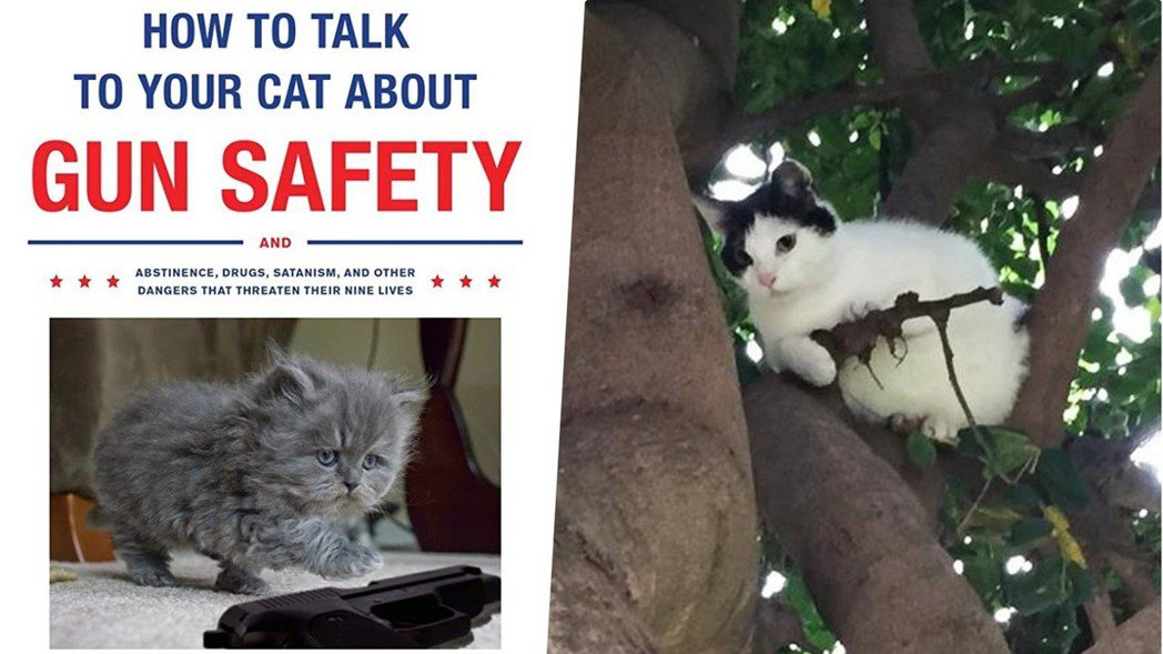 左圖為《如何跟你的貓談論槍枝安全？》、右圖為網路迷因照片，一隻在樹上的貓，但遠看...