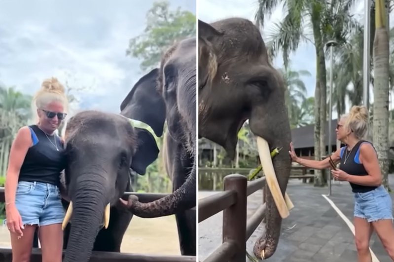 贝丝到峇里岛度假与大象合影，不料手臂遭大象吸进嘴里因此骨折。图／截自(photo:UDN)