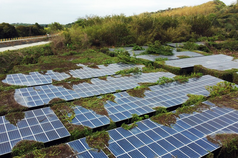 台南六甲一處農地放滿閒置8年的太陽能板，鑲滿綠色糾結的藤蔓。記者劉學聖／攝影