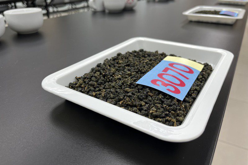 112年度阿里山春茶競賽成績今天揭曉，今年春茶產量減少、品質上升。記者黃于凡／攝影