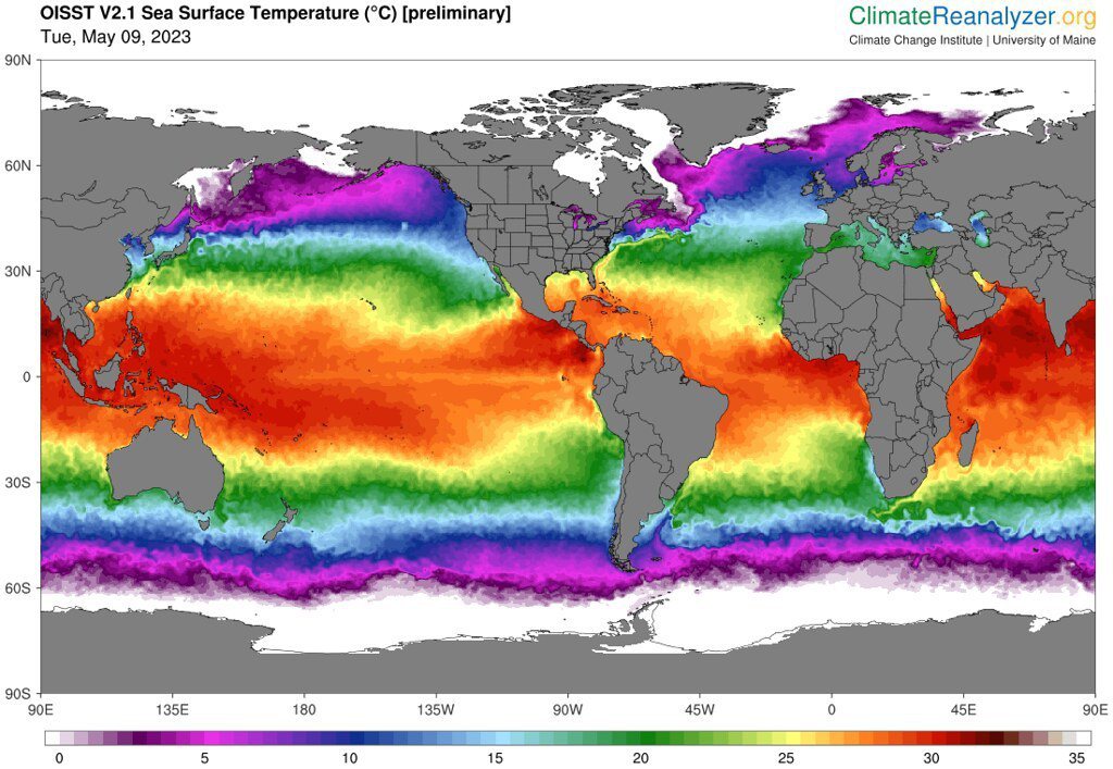 全球海溫圖（資料更新至2023年5月9日）。 圖片來源：Birkel, S.D....