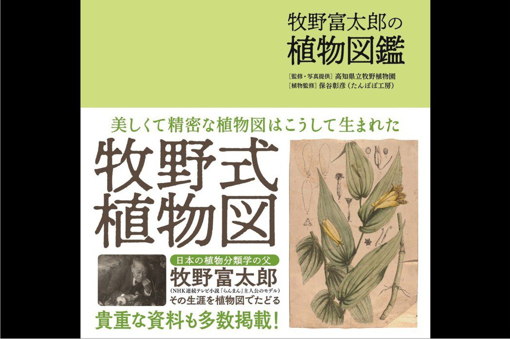 牧野富太郎的植物畫綜合了江戶時代日本傳統的本草學與西洋現代博物學的觀察法，被稱為「牧野式（風格）植物圖」。圖為《牧野富太郎の植物図鑑》書影。
 圖／取自Amazon網路書店