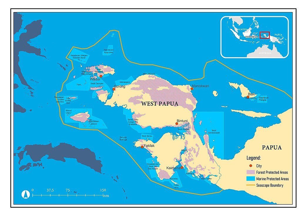 位於印尼極東區域的鳥頭海景保護區，總面積高達22.5萬平方公里，大約有六個台灣大...