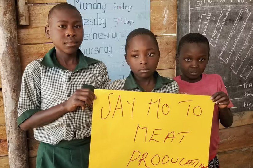 烏干達經常因生產、食用動物產品而受到感染，阿特拉斯Vegan社區學校教導孩子們如...