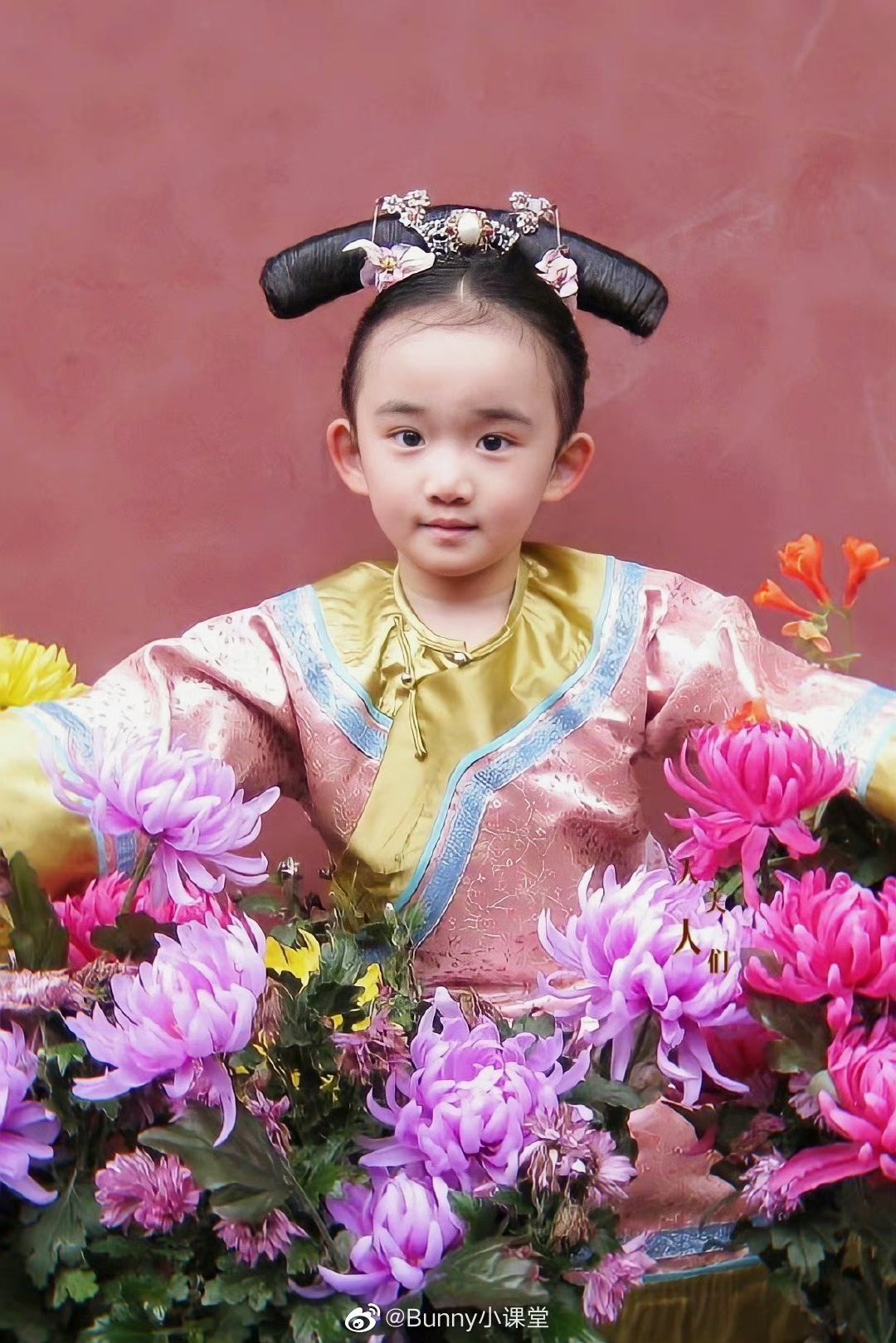 劉心玉曾在「後宮甄嬛傳」中飾演「朧月公主」。圖／摘自微博
