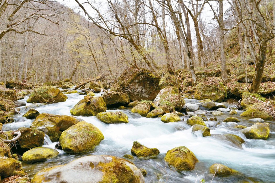 奧入瀨溪流有「日本第一美溪」稱號，一年四季，無論新綠、秋楓、冬雪，都美得令人窒息...