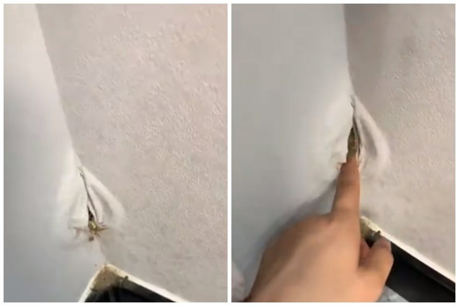 女子發現自家牆壁不明原因鼓起，還以為裡面有老鼠。圖取自微博