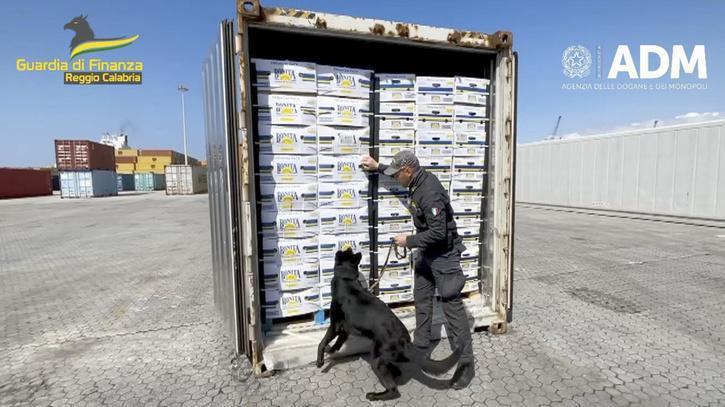一隻海關緝毒犬在海港執行任務的時候，發現一個裝滿香蕉的貨櫃裡面有玄機，結果狗狗靠近香蕉就開始不斷激動跳起來還不斷用爪子去抓貨櫃，才發現這些香蕉箱子裡面裝滿了總價260億的毒品。 (圖/取自影片)