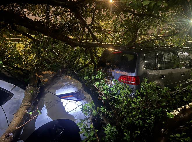 北台昨天晚間下起豪大雨、並颳強陣風，台北市發生多屬路樹倒塌、並壓傷機車騎士意外