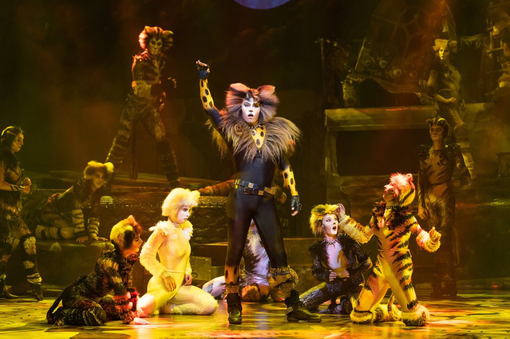 音乐剧“猫”将7度来台湾开演。图／宽宏艺术提供