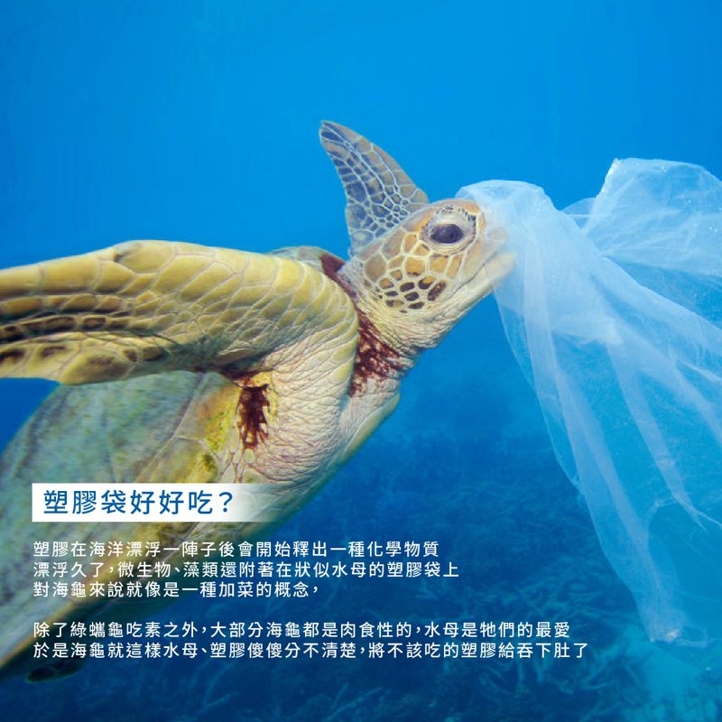 漂浮久的塑膠袋上依附微生物及藻類，讓海龜傻傻分不清楚，把塑膠袋給吞下肚。圖／截自綠色和平臉書