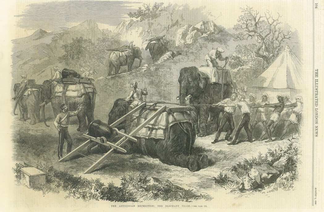 1867年至1868年英軍遠征衣索比亞，軍隊使用來自殖民地印度的大象載運槍砲。 ...