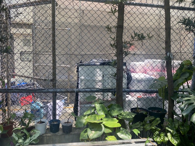 好市多內湖店今傳出，將被退貨的藍莓堆放廠區圍籬內，多日未處理致使異味飄散。圖／讀者提供
