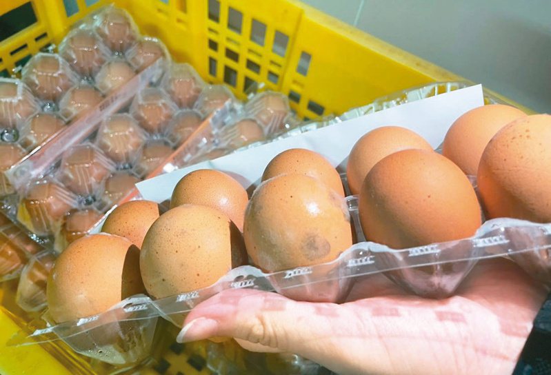 桃園衛生局稽查人員查到發霉的泰國進口雞蛋。圖／桃園市政府衛生局提供