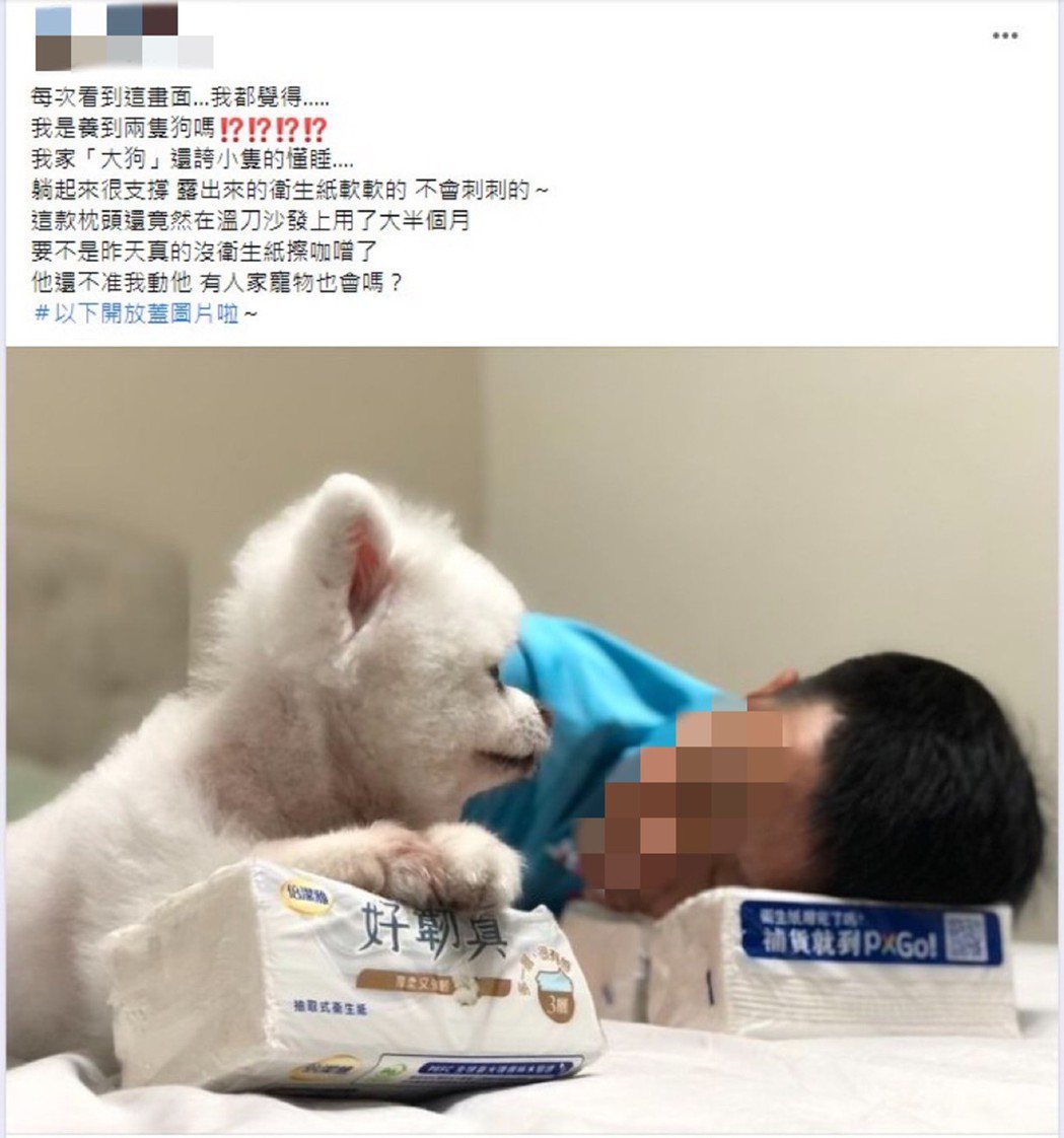 網友發文提及老公竟與寵物小狗都睡在衛生紙上。（圖／翻攝自FB社團）
