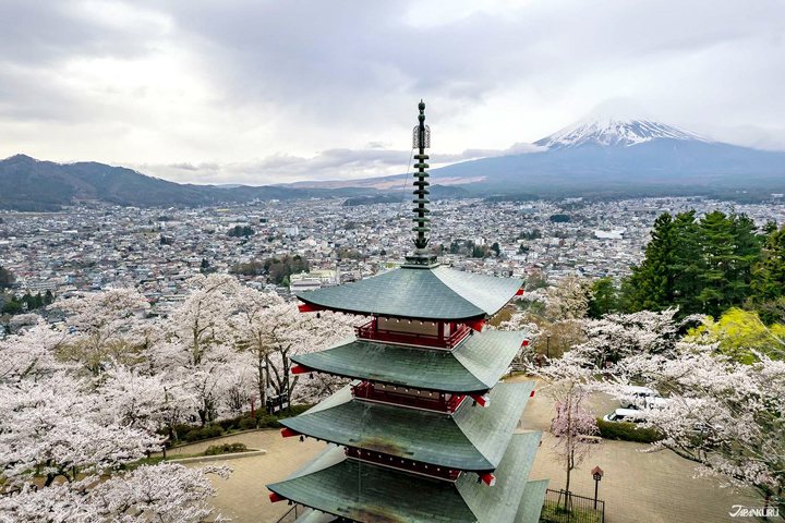 ▲新倉山淺間公園是拍攝富士山四季美景的名所。　圖：JR TIMES／提供