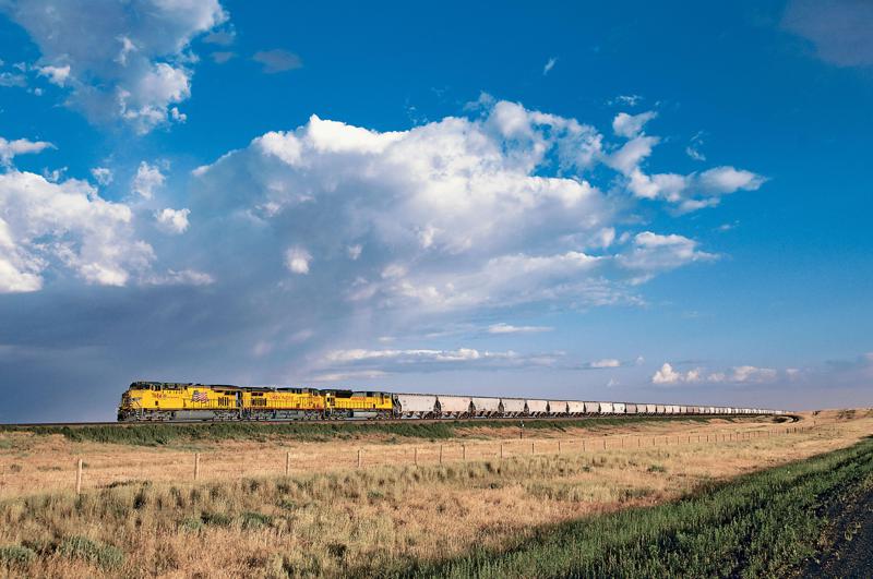 美國貨運列車越來越長，最長可能達4.8公里，在鄉鎮地區造成交通阻塞。圖為聯合太平洋公司載運木材的貨運火車。路透／Alamy