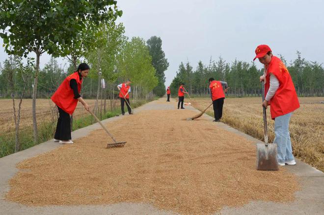河南省財政下發人民幣2億元資金，用於烘乾小麥，各地也派出志願者在雨停時，幫助農民...