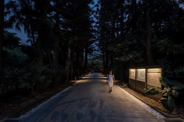台北植物園植光步道。 圖／中強光電文化藝術基金會提供、丰宇影像攝影