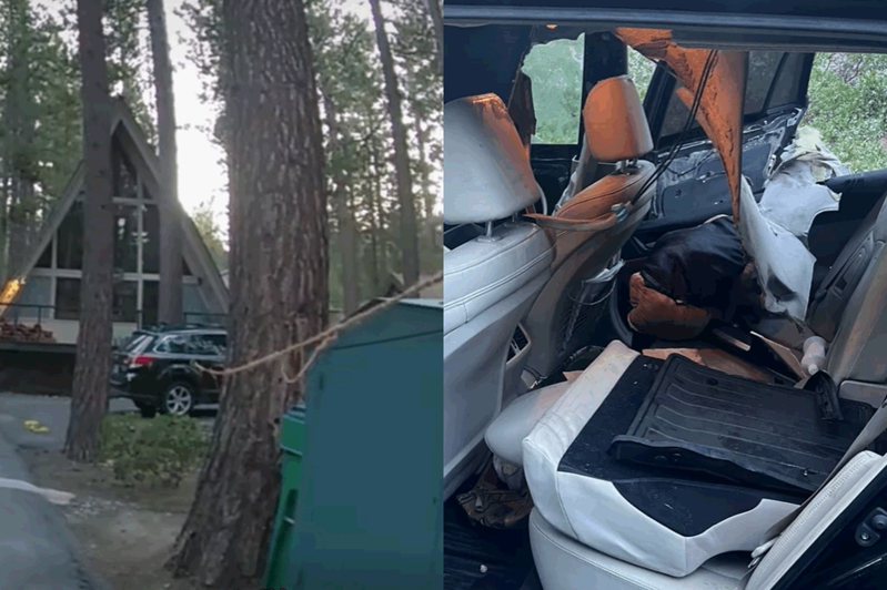 熊從車子脫困之後，留下被拆爛的內裝。圖擷自臉書/Washoe County Sheriff's Office