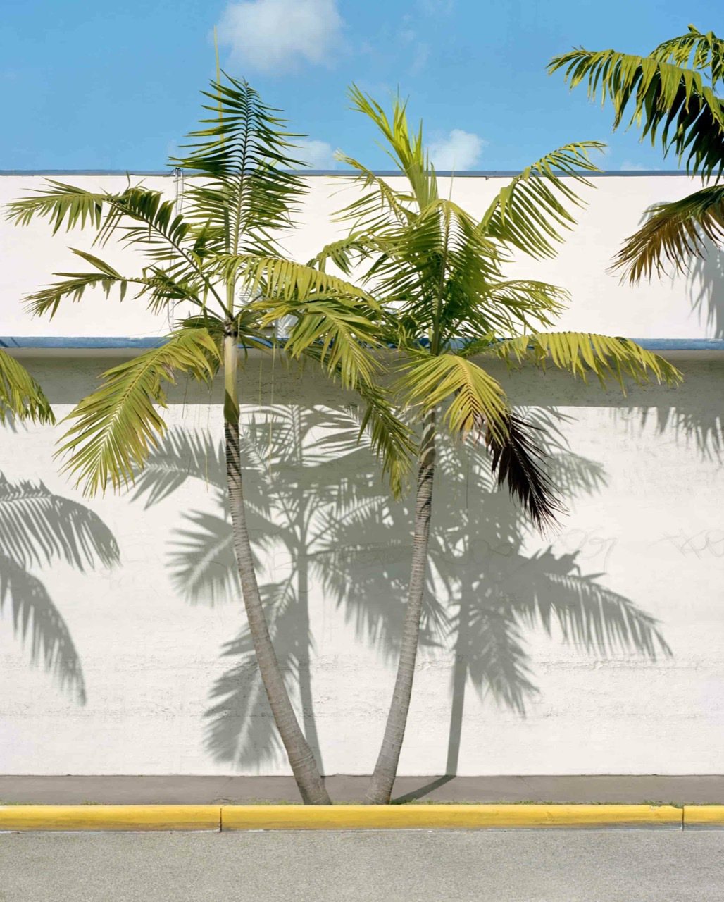 作品〈Bodega Miami, 2021〉。 圖／紅野畫廊提供