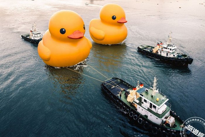 <u>黃色小鴨</u>訪港10周年！6月10日重遊維多利亞港