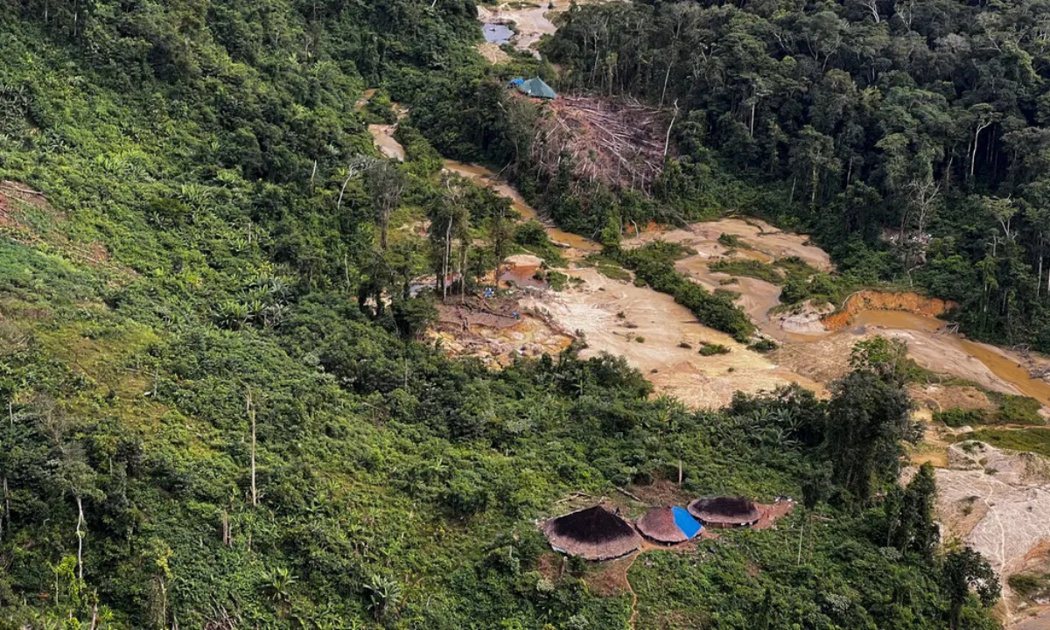 亞馬遜Yanomami部落周圍，被濫伐的地區。 圖／法新社