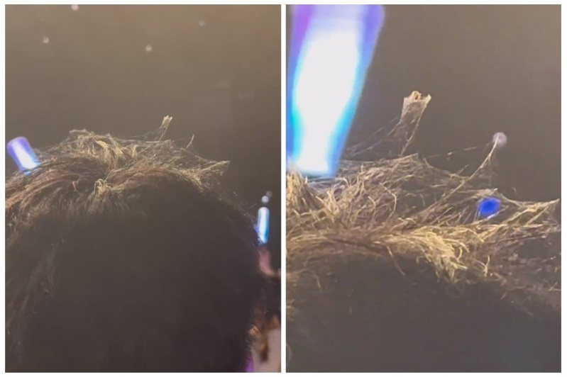 一名演唱會現場的男子頭頂上居然有蜘蛛絲。圖取自微博