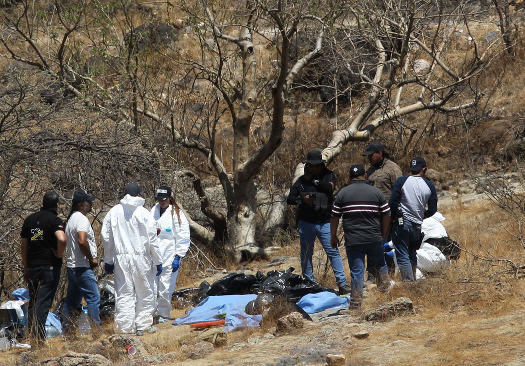 墨西哥​哈利斯科州​執法人員近日搜尋7名失蹤人士時，意外在一處峽谷發現45個裝有...