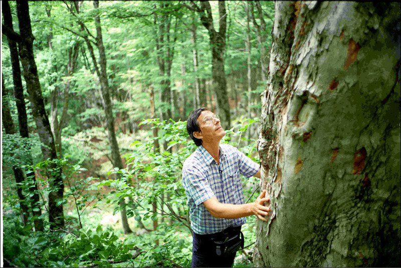 “为你锺琴”记录加斯帕柏夏德远赴满布地雷的巴尔干森林寻找造琴良木的惊人过程。图／海鹏提供