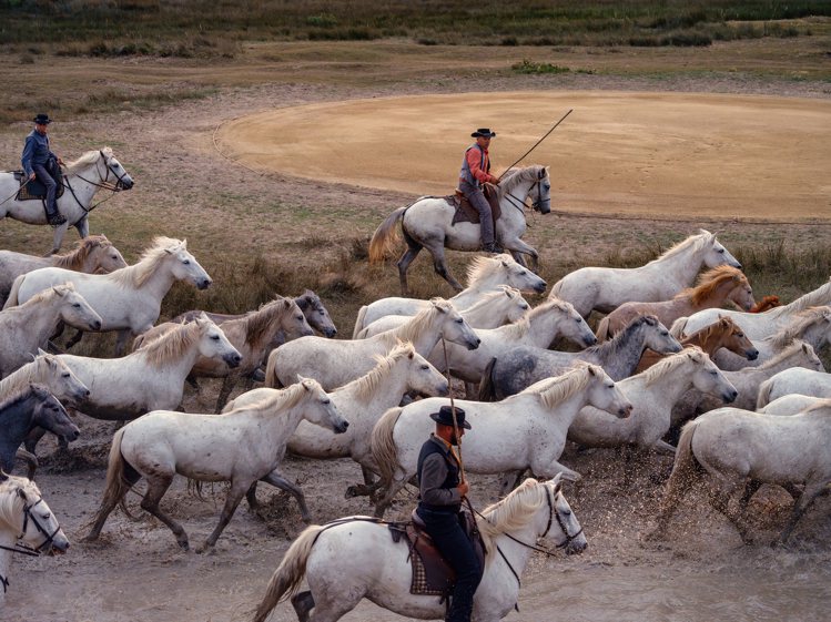 主題活動的高潮是一群卡馬格的白馬在看台前來回奔馳、萬馬奔騰的動人畫面。圖：愛馬仕...