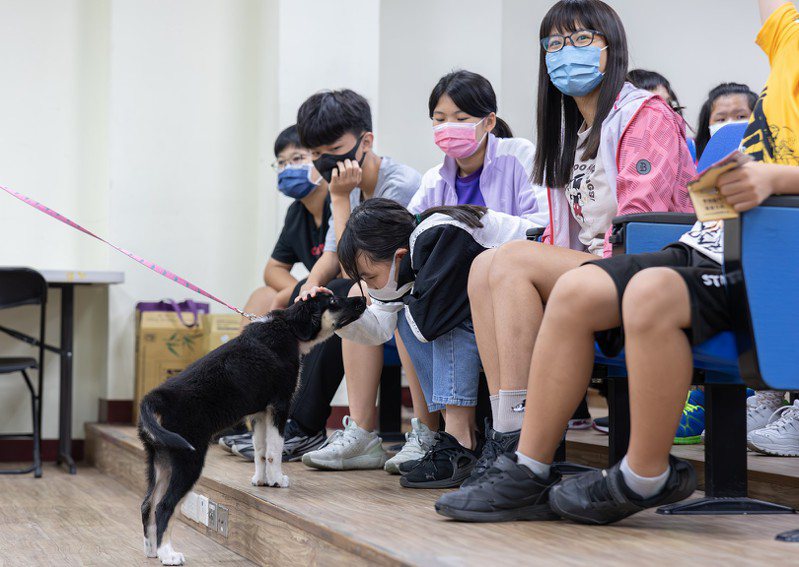 動保團體志工帶著曾被落難獲救的浪犬一同前進校園，讓宣傳更有力量。圖／台灣動物緊急救援小組提供