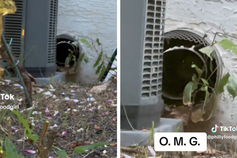 網友「卡斯」（Kass）與家人剪開家中水管救出貓咪。（圖／翻攝自抖音 @PhillyFoodGirl）