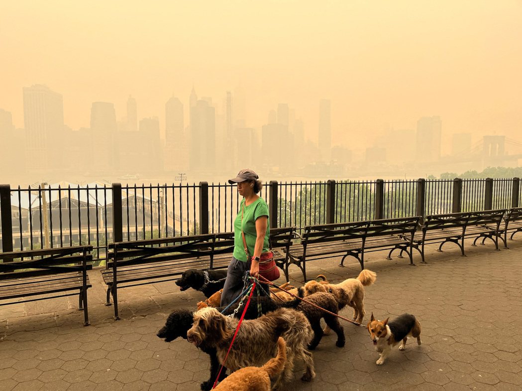在濃濃的霧霾下外出遛狗的曼哈頓居民。 圖／路透社　　