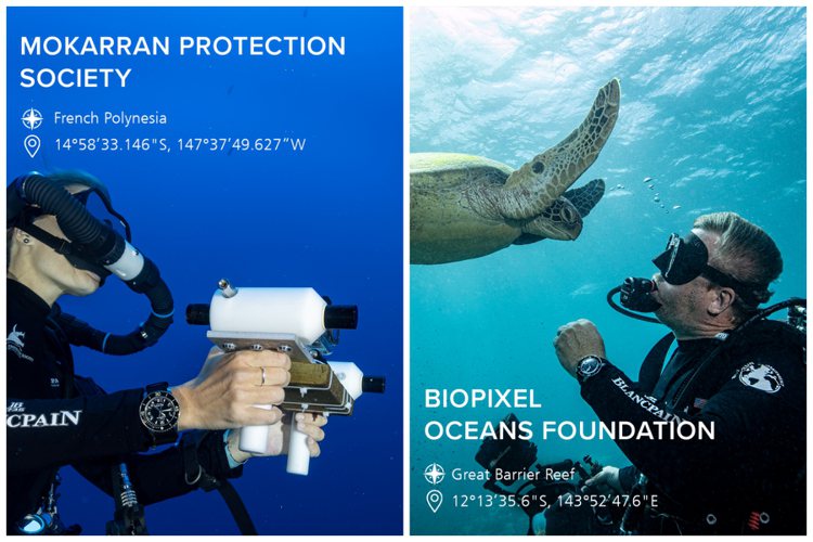 瑞士鐘表品牌寶珀（Blancpain）透過五個品牌贊助的海洋保育計劃，呼籲人們響應也關心每年6月8日的「世界海洋日」。圖／寶珀提供（合成圖）